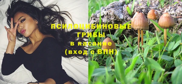 mdpv Покачи